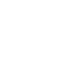 icon android