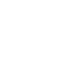 icon apple