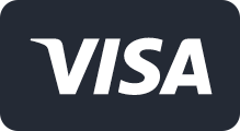 visa icon